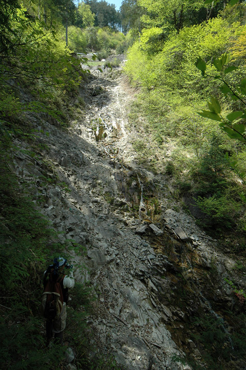 �����X�ѓS��,�ѓS,�p����,�O����,����,�����