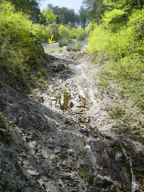 �����X�ѓS��,�ѓS,�p����,�O����,����,�����,�X���������ѓ�