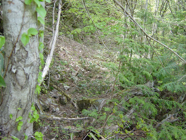 �����X�ѓS��,�ѓS,�p����,����,�i���[�O����,���ꑺ,�H��