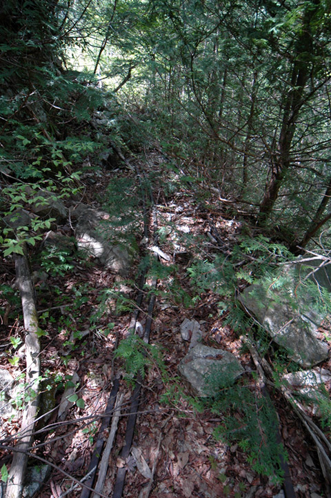 �����X�ѓS��,�ѓS,�p����,����,�؍މ^���O����,����c�я�,���[��