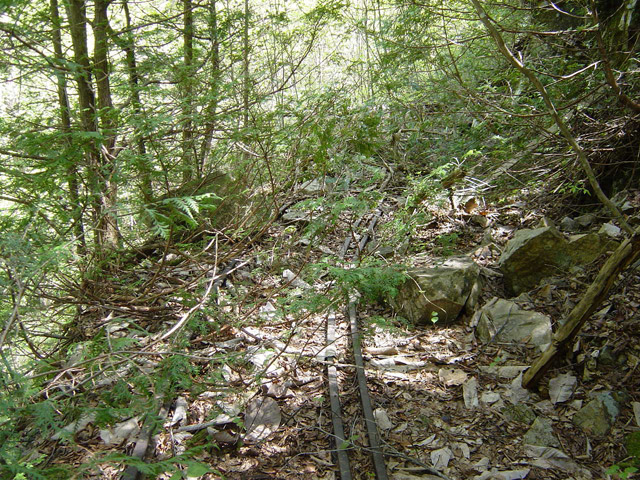 �����X�ѓS��,�ѓS,�p����,�H��,�؍މ^���O����,�ؑ]�X,���[��