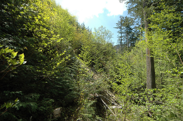 �����X�ѓS��,�ѓS,�p����,�H��,�؍މ^���O����,�ؑ]�X,����