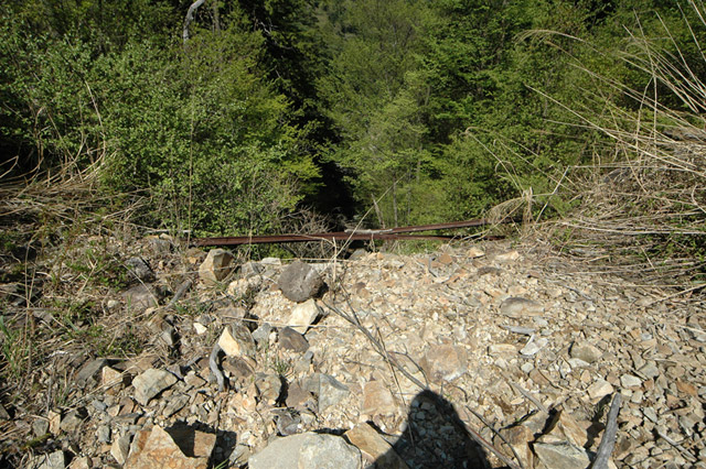 �ؑ]�X�ѓS��������,�ѓS,�p����,�؍މ^���O����,�H��,����c�я�,���[��