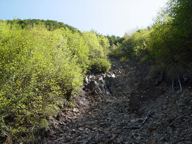 �����X�ѓS��,�ѓS,�p����,�؍މ^���O����,�ؑ]�X,����c�я�