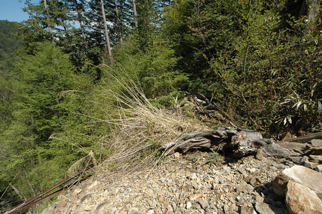 �����X�ѓS��,�ѓS,�p����,�y�؋O��,�ؑ]�X,����c�я�