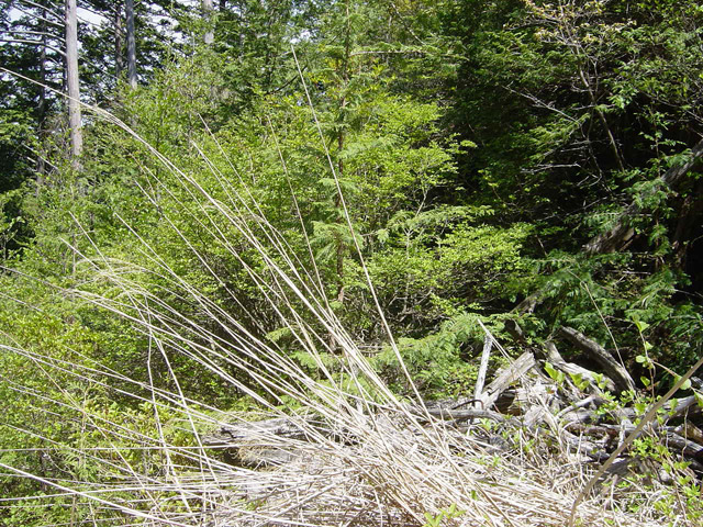 �����X�ѓS��,�ѓS,�p����,�y�؋O��,�ؑ]�X,����c�я�