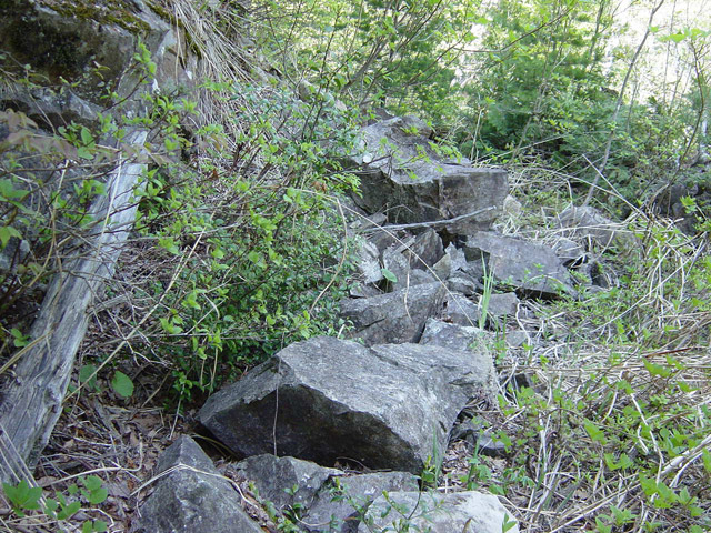 �����X�ѓS��,�ѓS,�p����,�i���[�O��,���F���q�J,���ꑺ