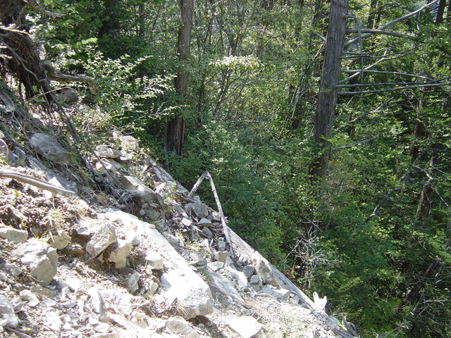 �ؑ]�X�ѓS��������,�ѓS,�p����,�؍މ^���O����,���F���q�J,���ꑺ