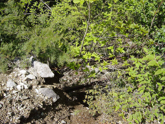 �����X�ѓS��,�ѓS,�p����,����c�я�,�O����,����