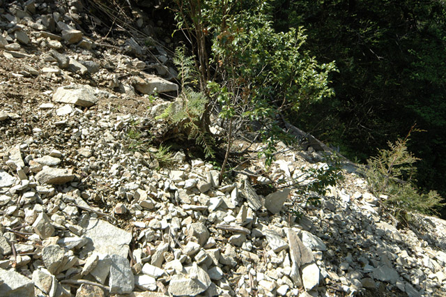 �����X�ѓS��,�ѓS,�p����,����c�я�,�O����,���[��,���H