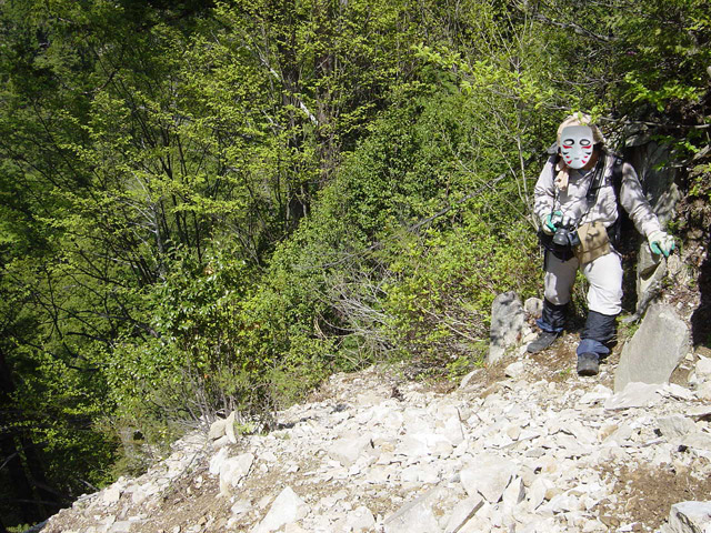 �����X�ѓS��,�ѓS,�p����,����c�я�,�O����,���[��,���H