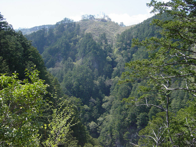 �����X�ѓS��,�ѓS,�p����,����c�я�,�O����,���[��,���H