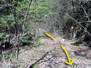 ����X�ѓS������������u��1�������[�����v