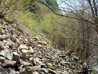 ����X�ѓS������������u��1�������[�����v