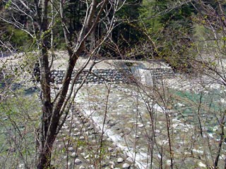 ����X�ѓS������������u��1�������[�����v