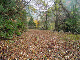 ����X�ѓS������������u��3�������[�����v