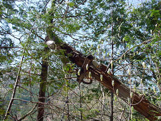 ����X�ѓS������������u��3�������[�����v