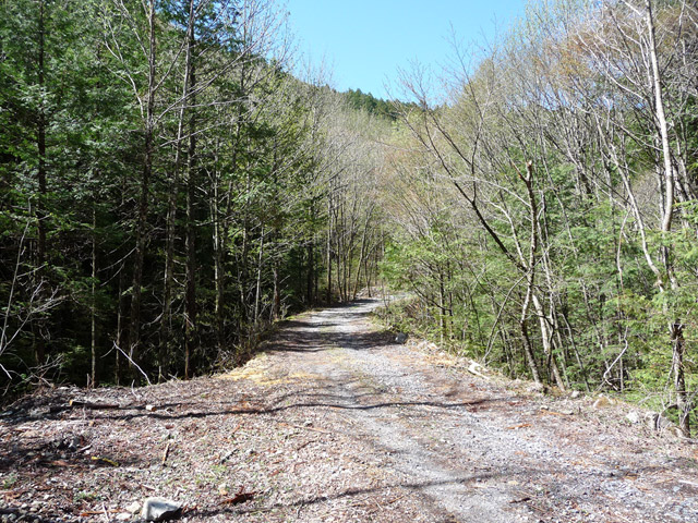 ����X�ѓS������������u��7�������[�����򋴗��v