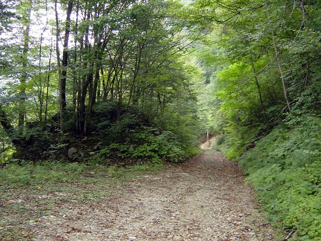 ����X�ѓS������������u��7�������[�����򋴗��v