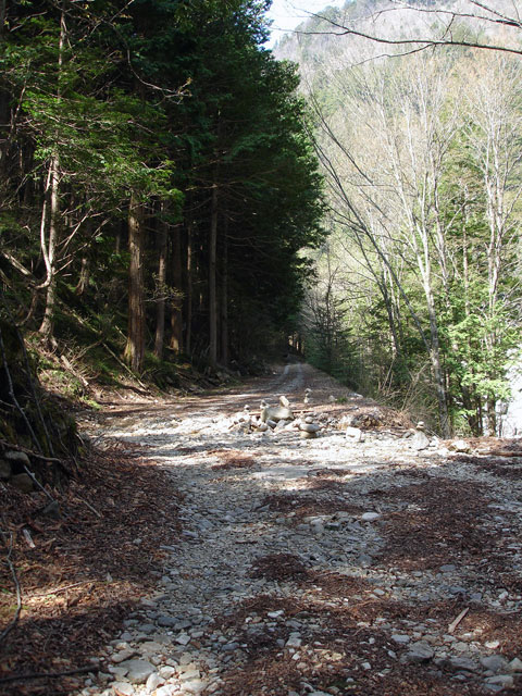 ����X�ѓS�����������,��9������