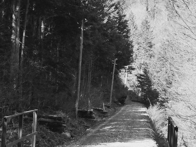 ����X�ѓS������������u��9�������[�����v