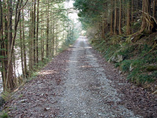 ����X�ѓS������������u��9�������[�����v