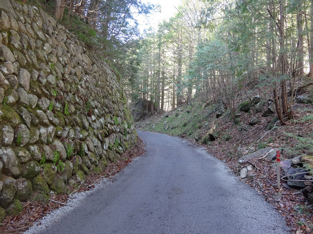 ����X�ѓS�����������,�����򋴗�,�W�k�P��