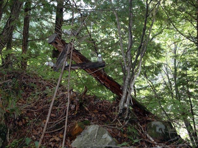 ����X�ѓS������������u��9�������[�����v