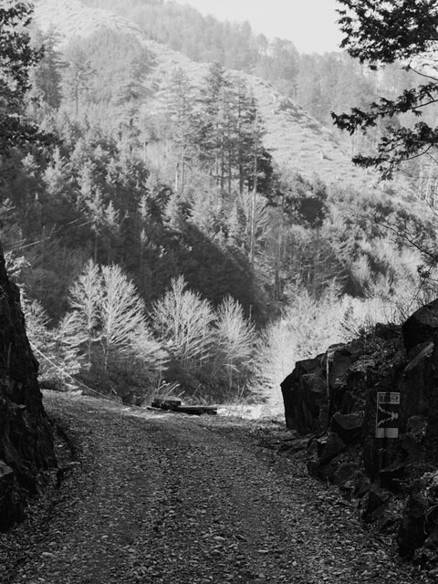 ����X�ѓS������������u��9�������[�����v