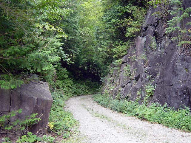 ����X�ѓS������������u��9�������[�����v