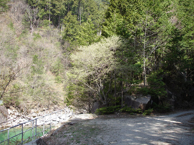 ����X�ѓS������������u��9�������[�����v