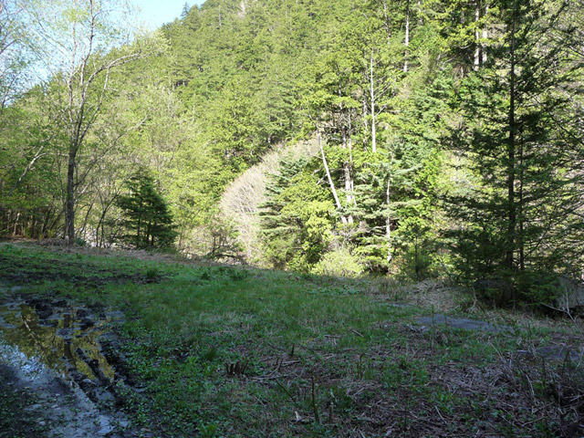 ����X�ѓS�����������,������ԏ�,�ѓS����