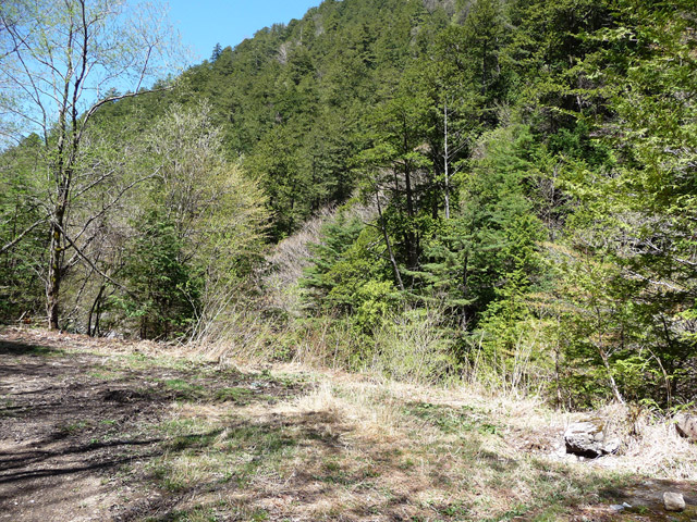 ����X�ѓS�����������,������ԏ�,�ѓS����