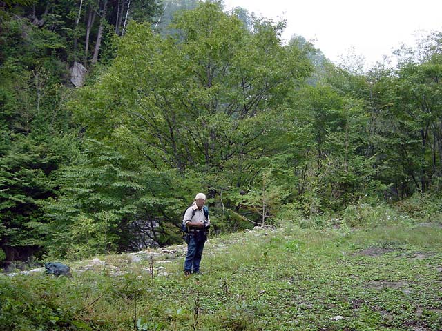 ����X�ѓS�����������,������ԏ�,�ѓS����