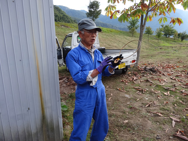 ����X�ѓS�����������,������ԏ�,�O�Y�F�V,�^�u���b�g