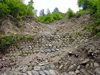 ����X�ѓS������������u��10�������[�^�|�v