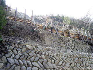 ����X�ѓS������������u��10�������[�^�|�v