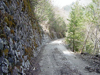 ����X�ѓS������������u��10�������[�^�|�v