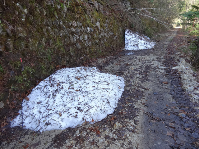 ����X�ѓS������������u��10�������[�^�|�v