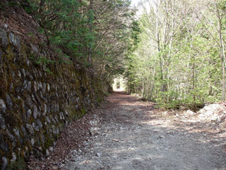 ����X�ѓS������������u��10�������[�^�|�v