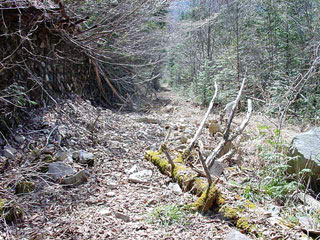 ����X�ѓS������������u��10�������[�^�|�v