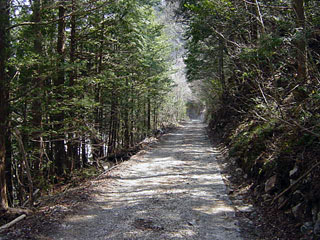 ����X�ѓS������������u��10�������[�^�|�v