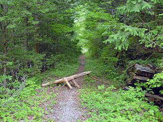 ����X�ѓS������������u��10�������[�^�|�v