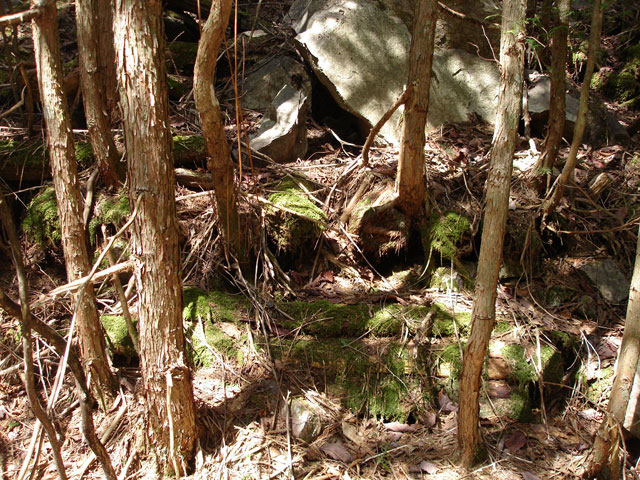 ����X�ѓS����������,�ѓS,�p����,�W�ޑ���,�֑�