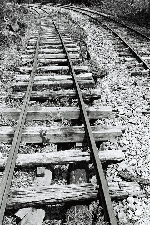 ����X�ѓS������������u��������{�J�����[�t���򋴗��v