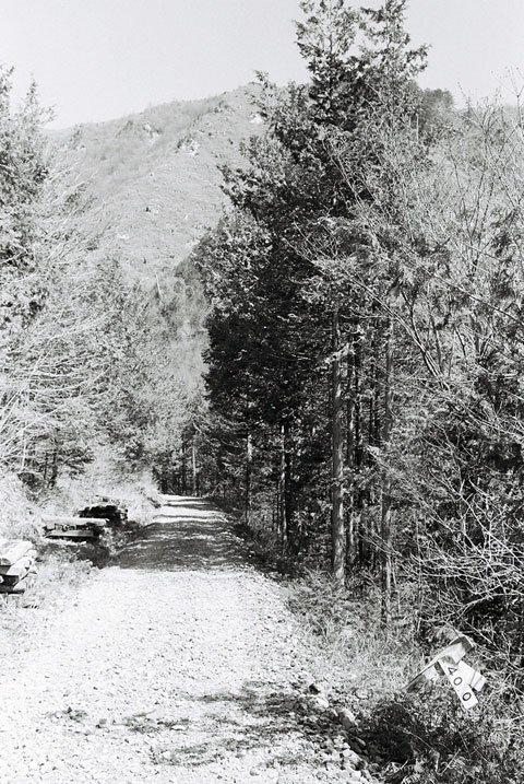 ����X�ѓS������������u��������{�J�����[�t���򋴗��v