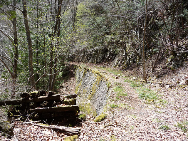 ��������X�ѓS��,�ѓS,�p����,�ѓ�