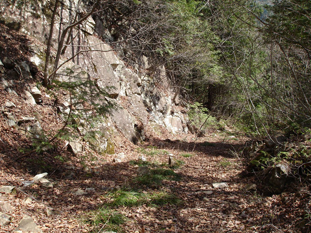 ����X�ѓS������������u��������{�J�����[�t���򋴗��v