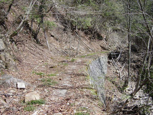 ����X�ѓS������������u��������{�J�����[�t���򋴗��v