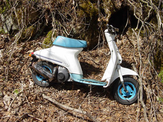 ����X�ѓS������������u��������{�J�����[�t���򋴗��v